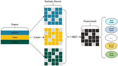 Kernel Fusion Method for Detecting Cancer Subtypes via Selecting Relevant Expression Data